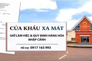 visa nhập cảnh cửa khẩu xa mát nhanh khẩn cấp